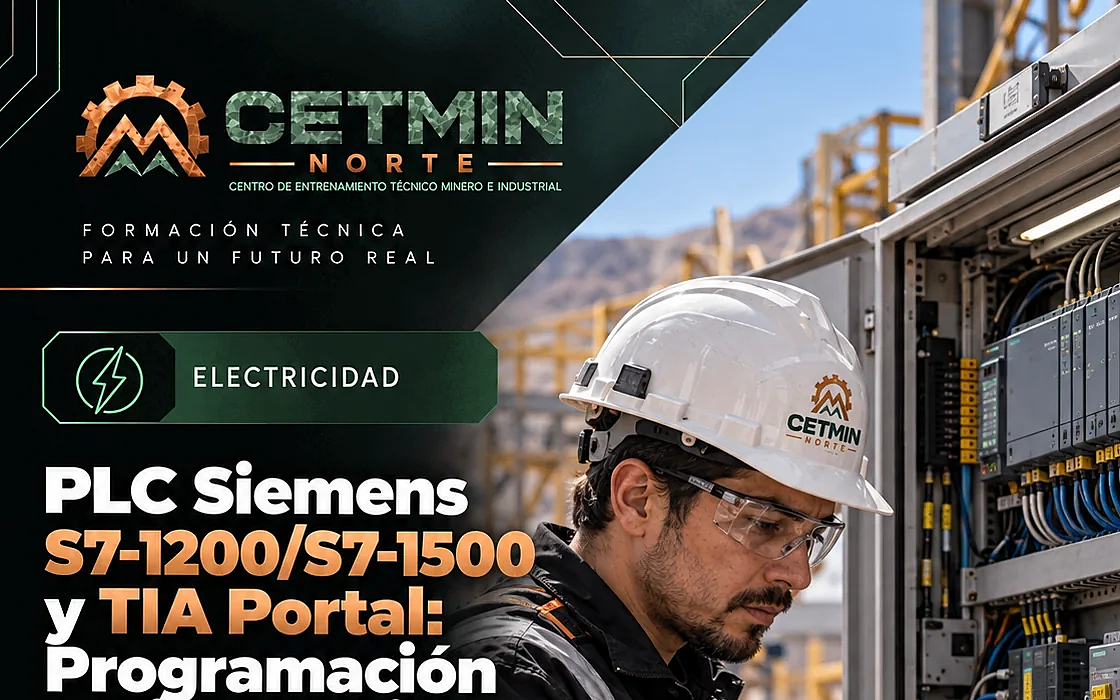 PLC Siemens S7-1200/S7-1500 y TIA Portal: Programación y Diagnóstico